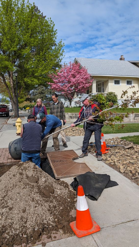 Arbor Day 2024