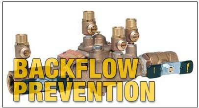 Backflow Assembly