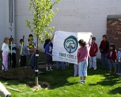 Tree City USA at City Hall